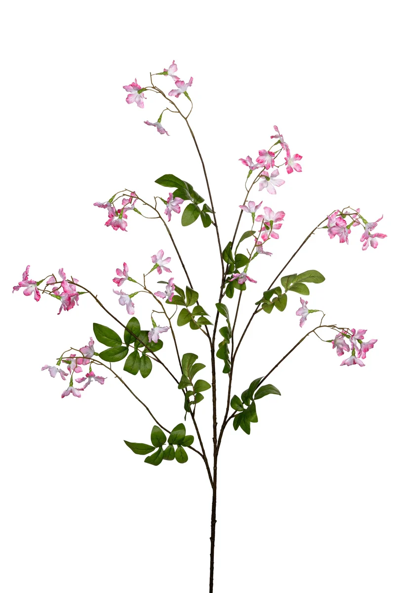 Stephanotis, 120 cm, rosa