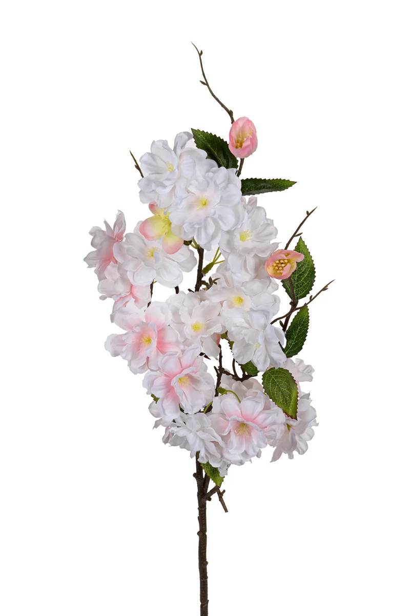 Blüte 75cm hoch, hellrosa.