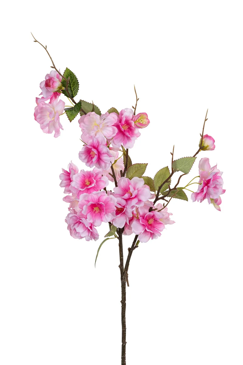 Blüte 75cm dunkelrosa