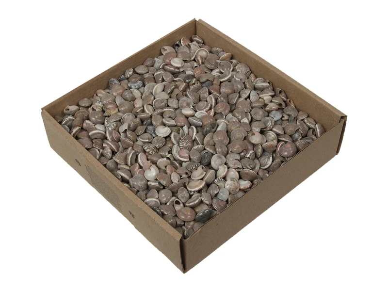 Knopfhülle Natur 850 gr.