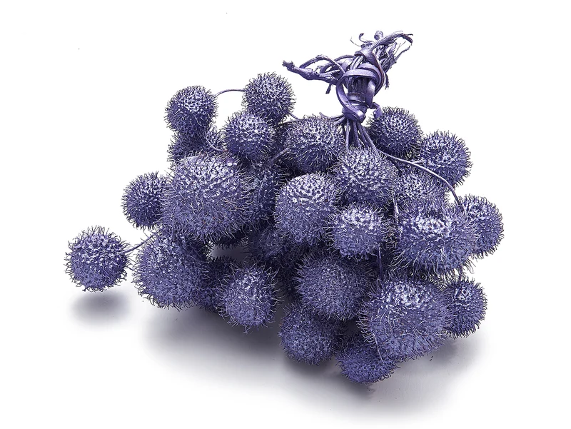 Platanen-Kügelchen, perlmuttartig-violett