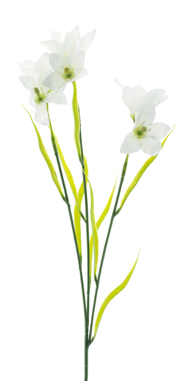 Wild Cora Bell Spray Weiß 63cm