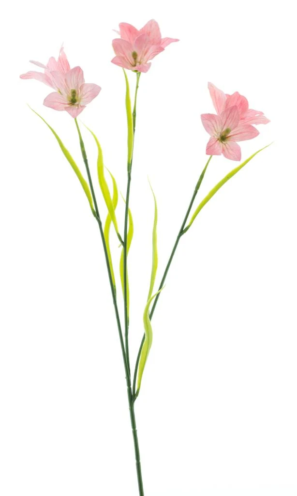 Wild cora bell spray rosa 63cm