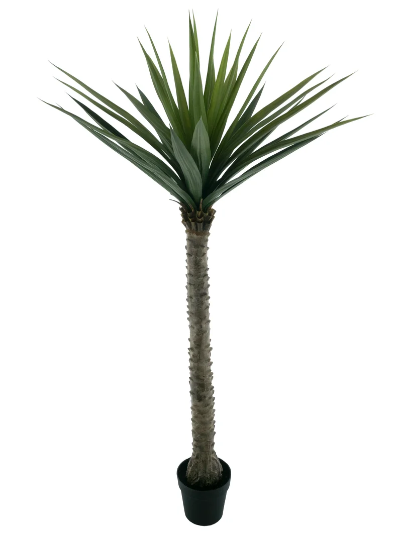 Yucca im Topf, grün, 180 cm