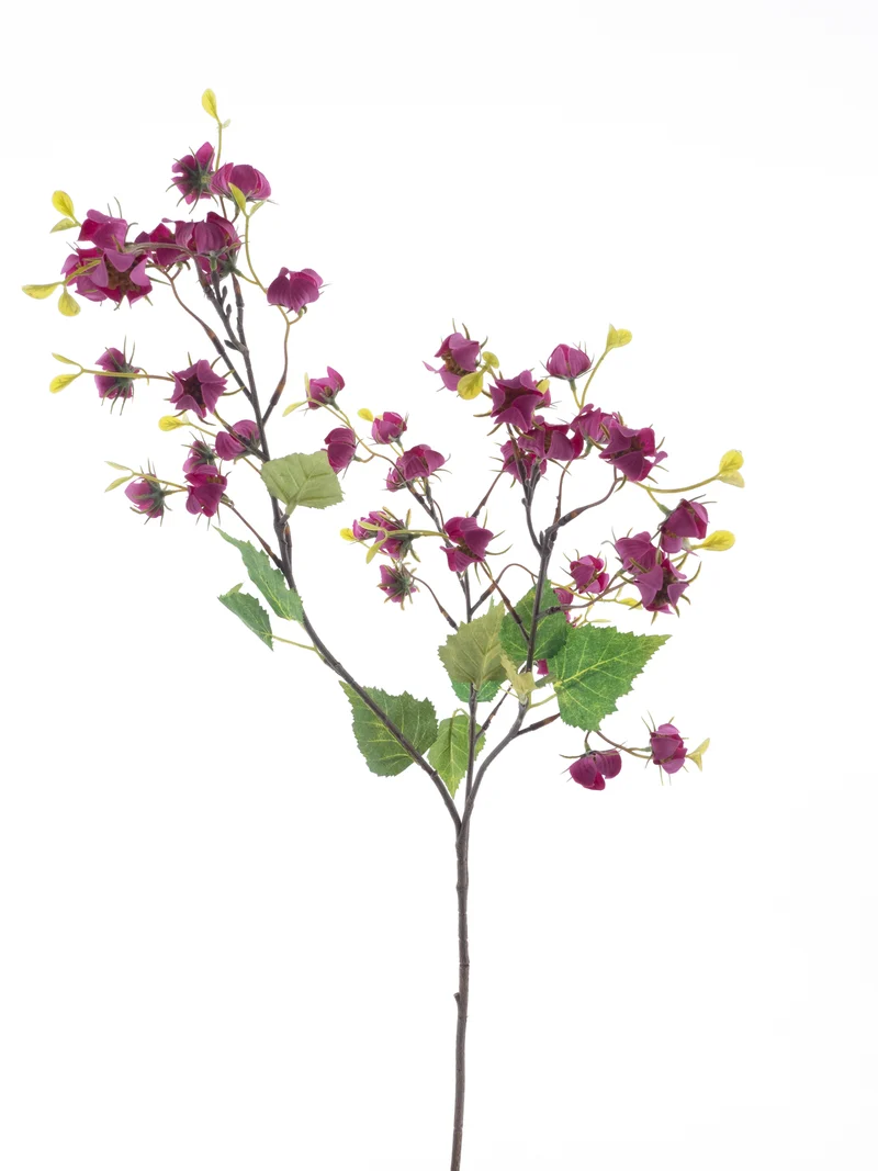 Mini Physalis Spray Rot 92cm