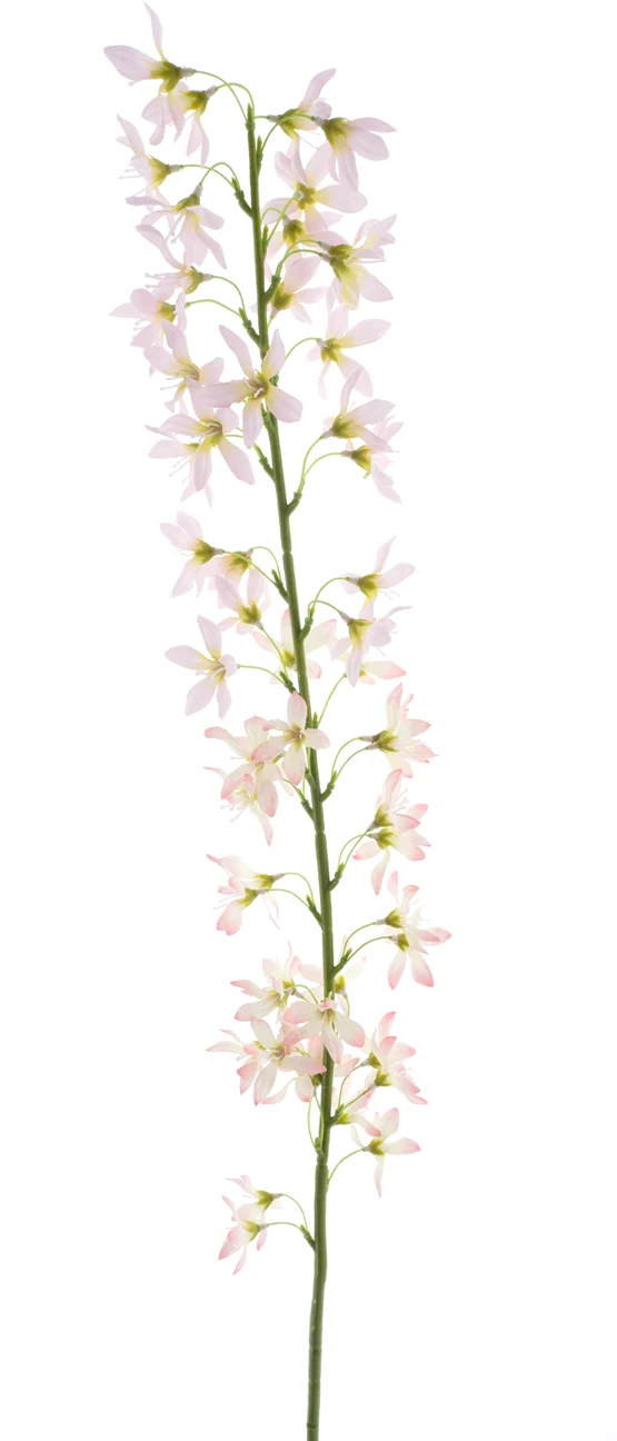Deutzia Spray Pink 100cm