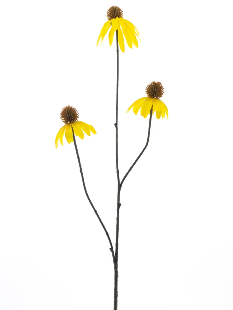 Echinacea-Spray gelb 82cm
