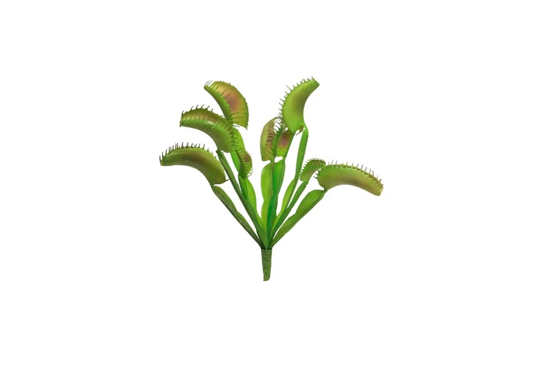 Seidenpflanze „Dionaea Busch“ grün 25cm