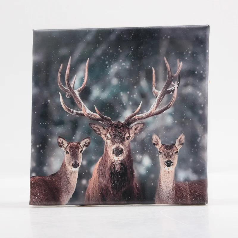 AUSSENBILD HIRSCH 30X40 CM