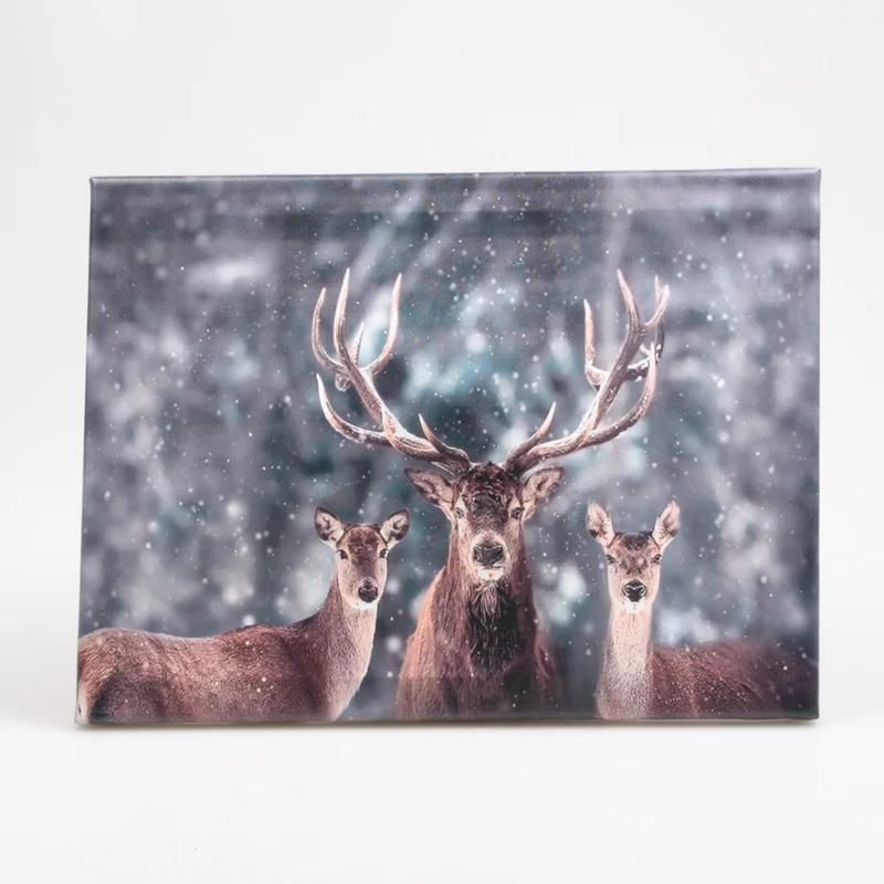 AUSSENBILD HIRSCH 50X70 CM