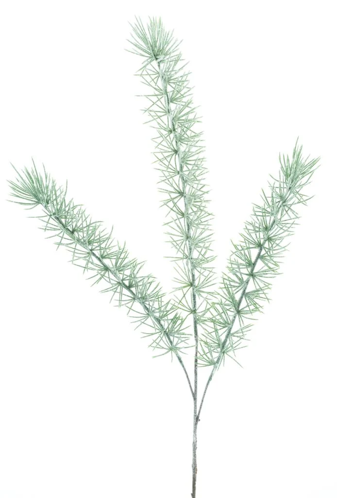 Kiefernspray Didda vereist 64cm