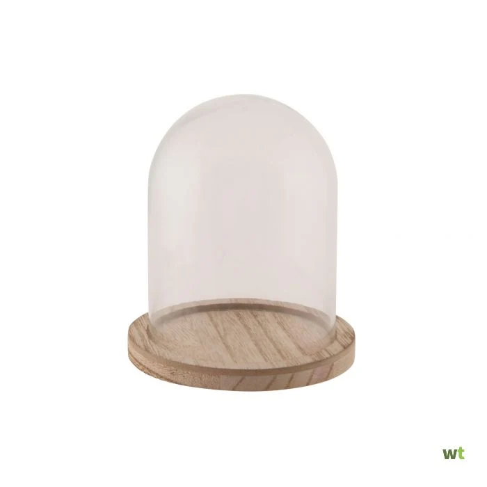 Stolp Glas mit Holzboden Ø17x25cm Transparent