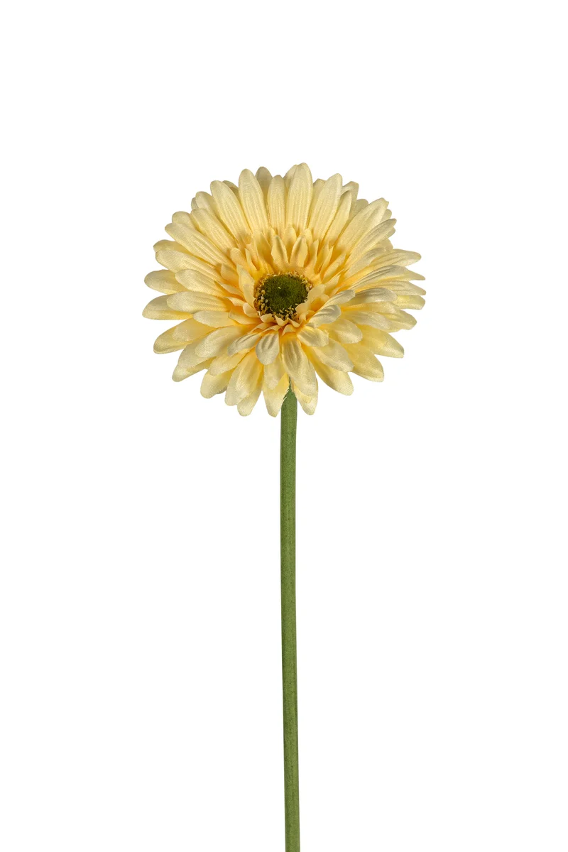 Gerbera l58cm gelb