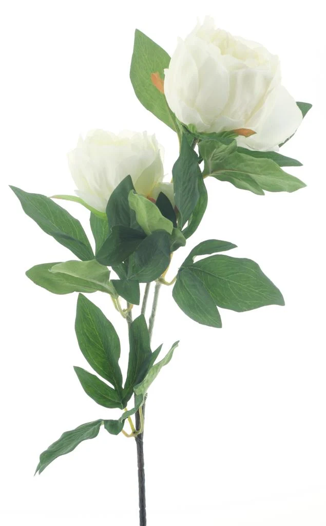 Pfingstrose Spray Chiba Creme 65cm