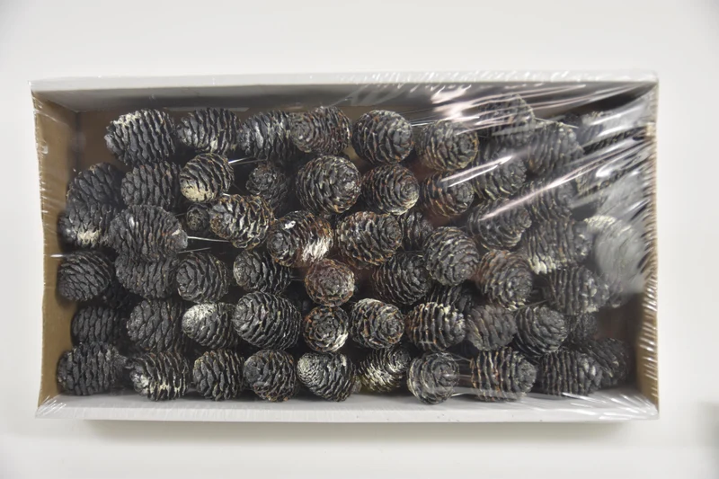Muirii 10cm Wire Box Schwarz-Frost (100Stk)