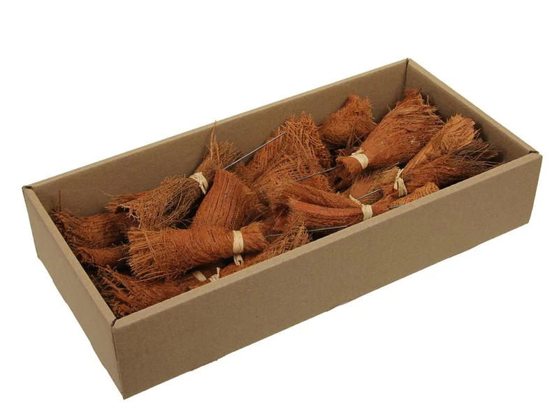 w/b 25 palm bakla con possy/Draht 10cm natur