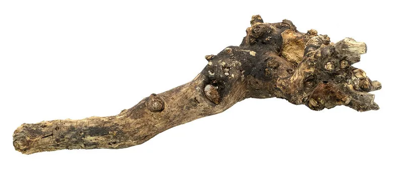 Holzstumpf ca.50-60cm natürlich