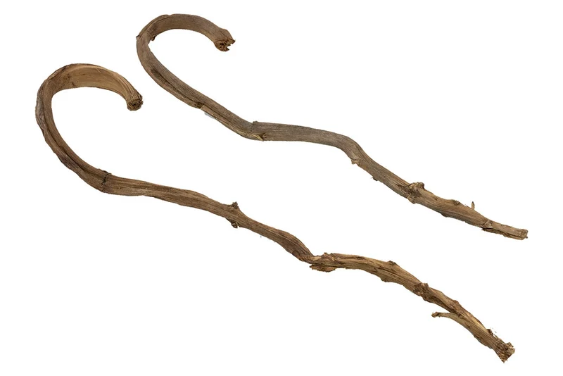 Bananenstab natur 10 Stück