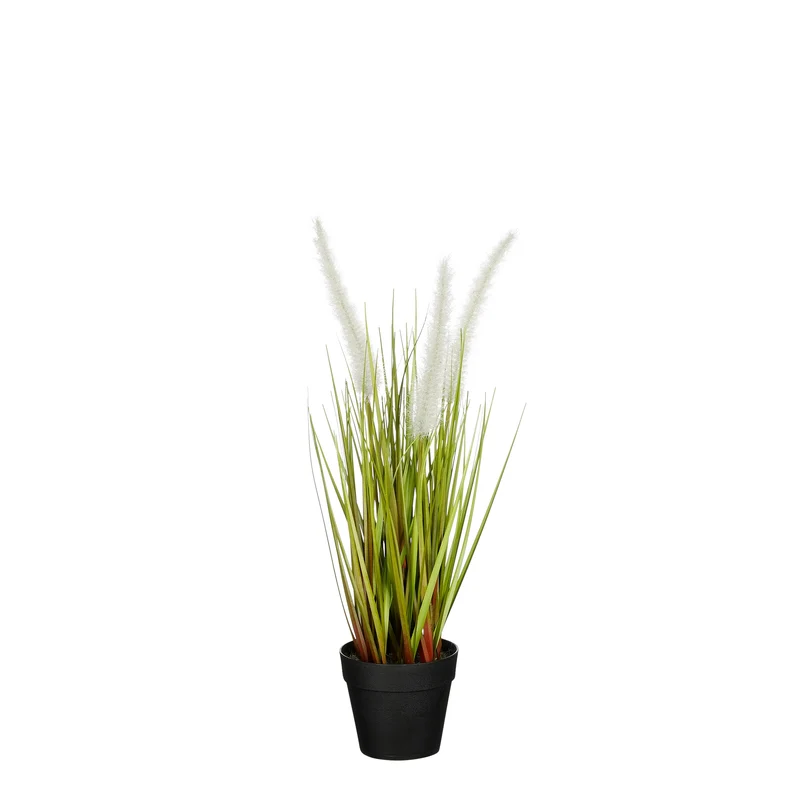 Hundeschwanz im Topf weiß - h40xd15cm