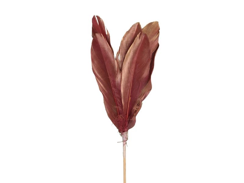 pb. 12 Gänsefedern/Stick rosa 58cm