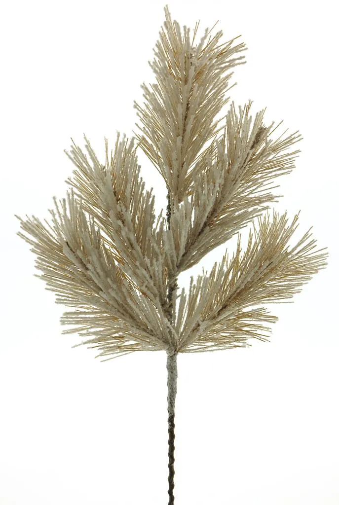 Lavendelstrauch lila 51cm