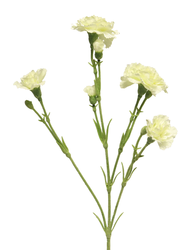 Gingko spray oslo gold 60cm