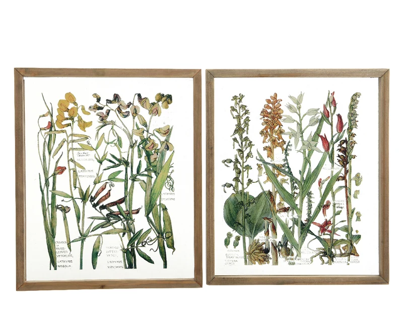 Deco Kuikens Uit Ei 7cm - Doosje van 3 Stuks