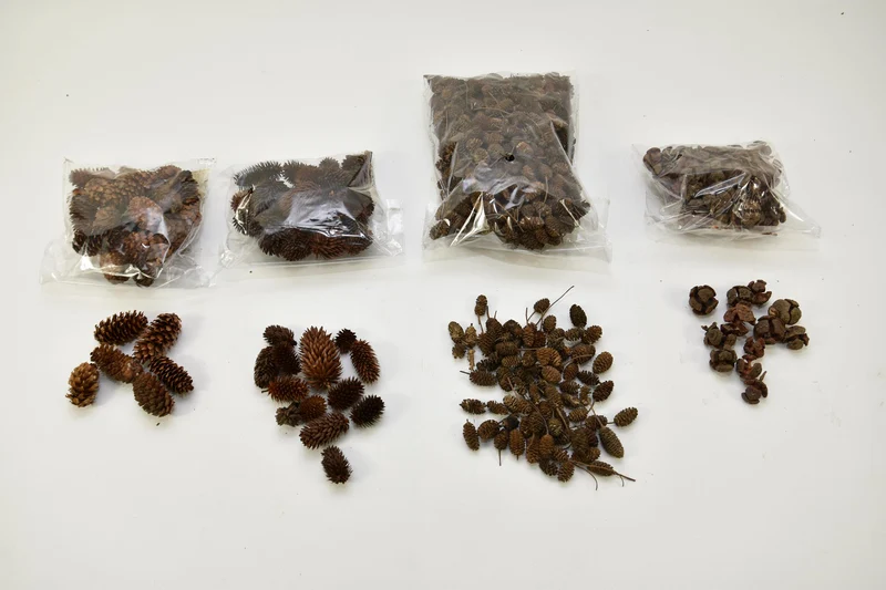 H.3 Ø7 cm Goldglühbirne Kerzenhalter