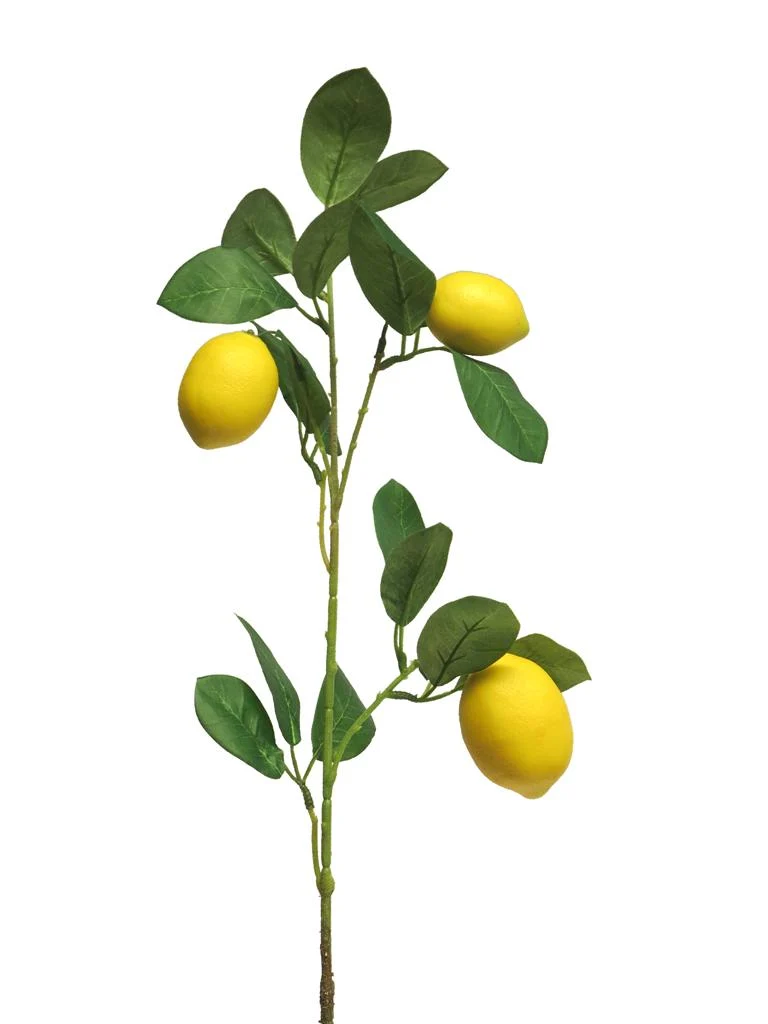 Seed fruit bundle x5 green 58cm