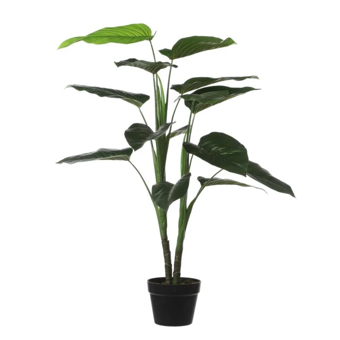 REHKALB 20 CM - SORTIERT - PRO STÜCK