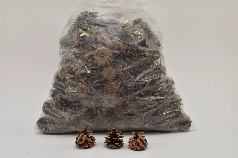 PINUS NIGRA 5-8 CM WEISS GEWASCHEN POLY/5 KG