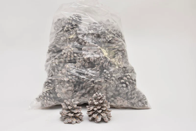 PINUS PINEA GEMISCHT WEISS GEWASCHENES POLY/75 STÜCK