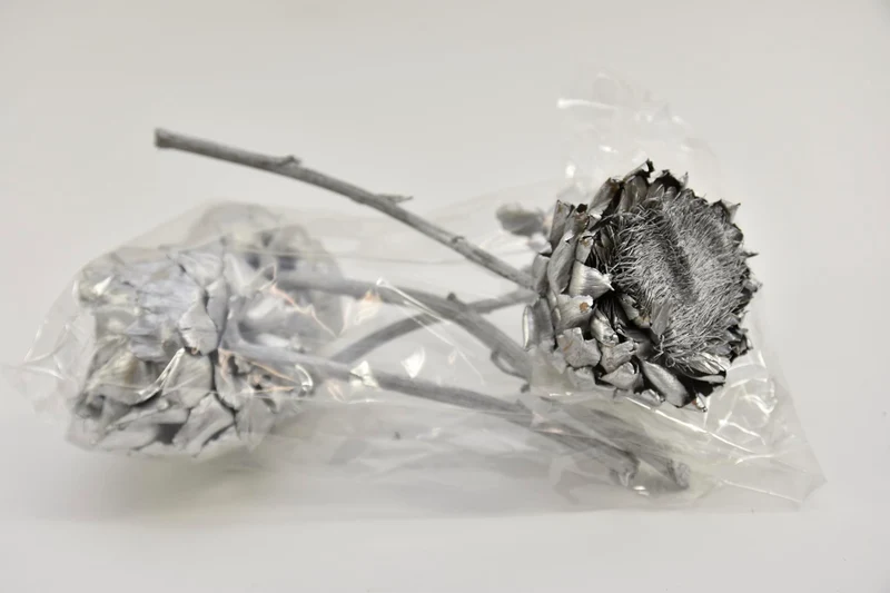 OCRA FRUCHT 15-20 CM.