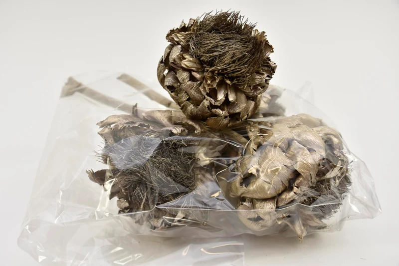 ARTICHOKE