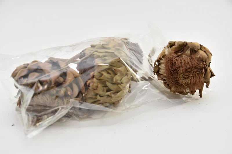 ARTICHOKE