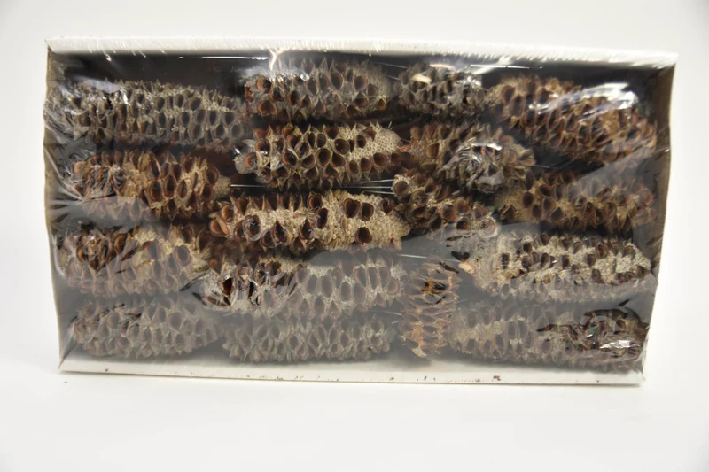 Mealy Pods 10cm Sampler natur 35Stück