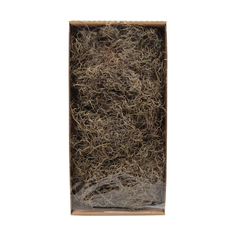 Tillandsia nature 250 Gramm