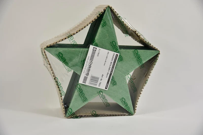 Bioline Stern 30 cm grün Packung mit 2 Stücken