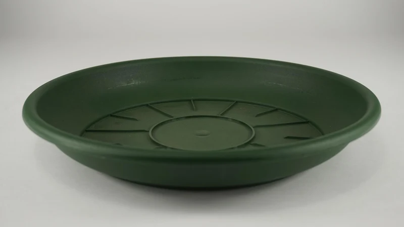 10 Schüsseln Domus 30 cm grün